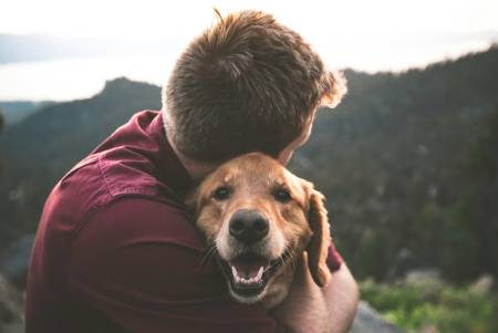 Notre zone d'activité pour ce service Intervention à domicile pour apprendre aux chiots à devenir propres selon une méthode positive et adaptée à chaque caractère