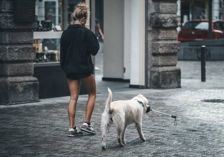 Nos prestations sur le secteur de dans le quartier La Côte Pavée 31500