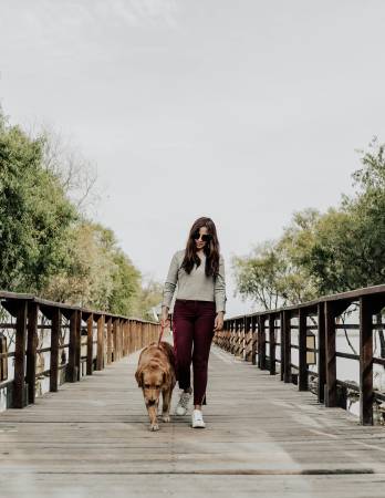 Notre zone d'activité pour ce service Traitement individualisé des peurs du chien adulte envers d’autres chiens grâce à une approche naturelle et respectueuse des émotions canines